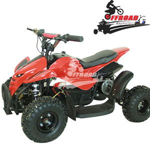 Mini Electric ATV Quad bike for Kids