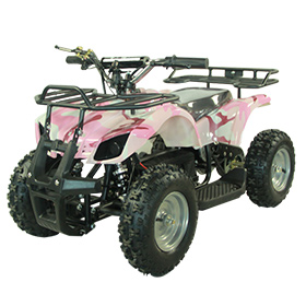 Mini Electric ATV Quad bike EA8001E