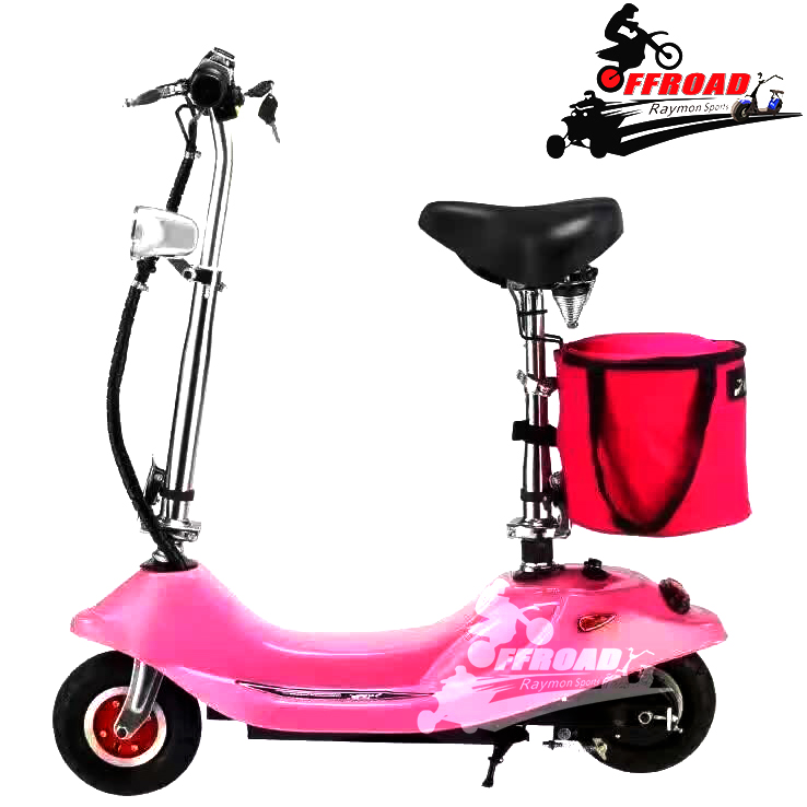 Foldable NEW 250W Electric Scooter 